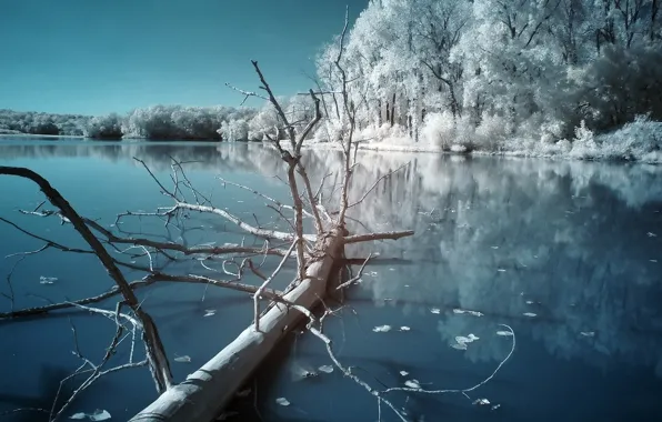 Cold, winter, night, lake