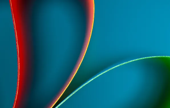 Leaves, paper, color, curves