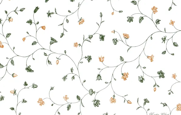 Flowers, comfort, pattern, texture, White background, risunok