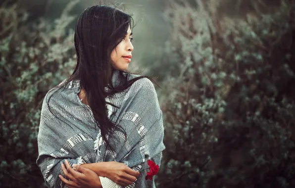 Picture girl, flowers, nature