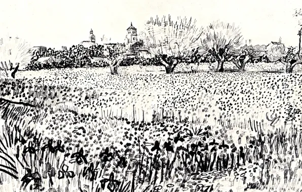 Picture flowers, black and white, Vincent van Gogh, Field with Flowers