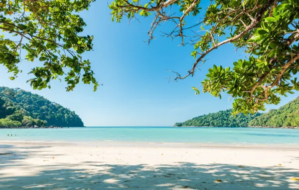 Wallpaper sea, beach, summer, nature, tropics