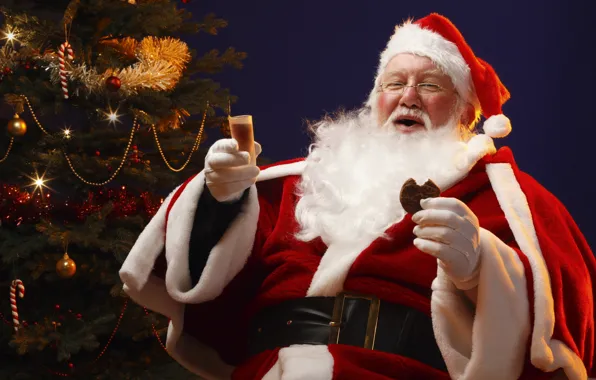 Tree, Santa, cookies
