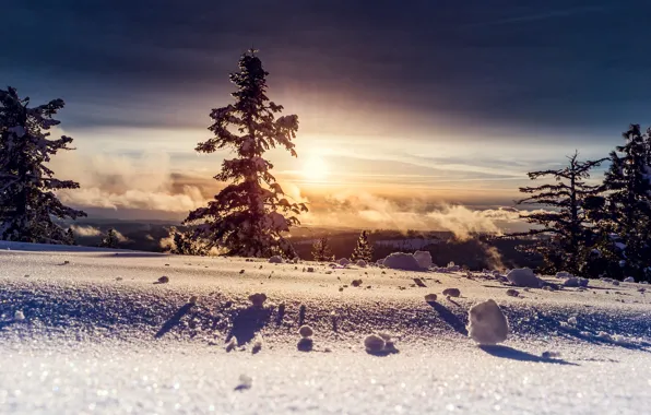 Winter, the sun, snow, trees, photo, bo0xVn