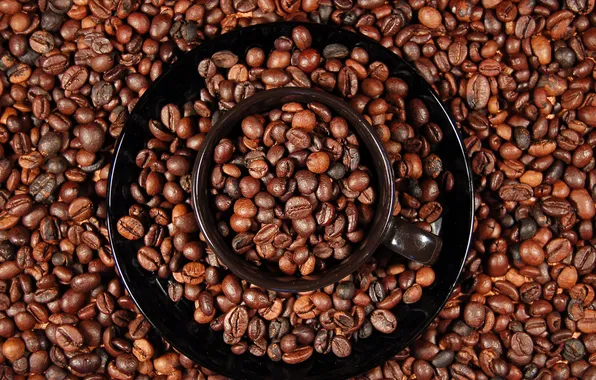 Circles, coffee, Cup, coffee beans, saucer