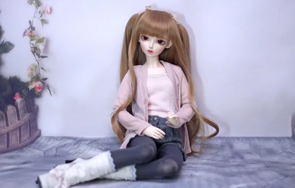 Picture toy, doll, sitting, long hair