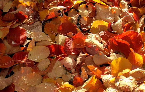 Picture autumn, leaves, drops, line, rendering, paint