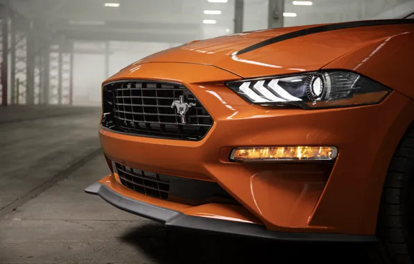 Picture orange, Mustang, Ford, before, 2020, fastback