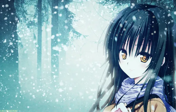 Picture forest, snow, anime, scarf, girl, forest, snow, Kotegawa Yui