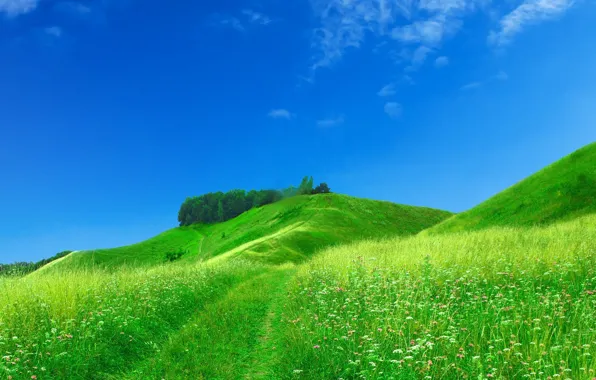 Picture field, summer, the sky, grass, flowers, nature, hills
