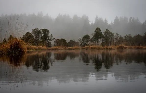 Autumn, lake, reflection, autumn landscape