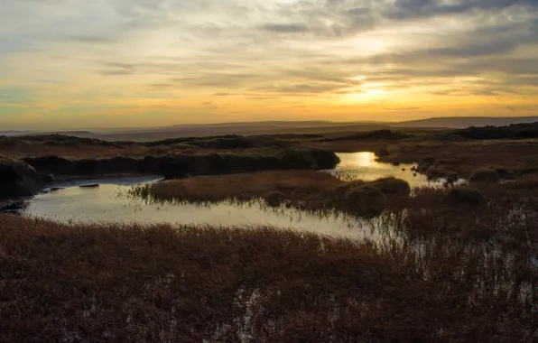 Stream, the evening, horizon, evening, horizon, stream
