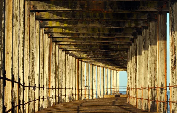 Bridge, the city, background