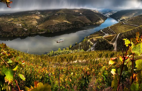 Clouds, river, rain, field, Portugal, plantation, ship, Valenca Do Douro
