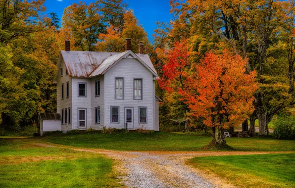 Picture road, autumn, grass, trees, house, New York, USA, mansion