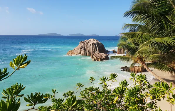 Sea, the sun, palm trees, Seychelles, La Digue