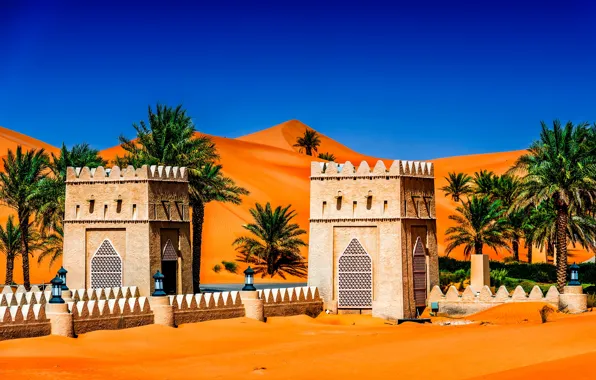 Sand, the sky, the sun, the dunes, palm trees, Abu Dhabi, UAE