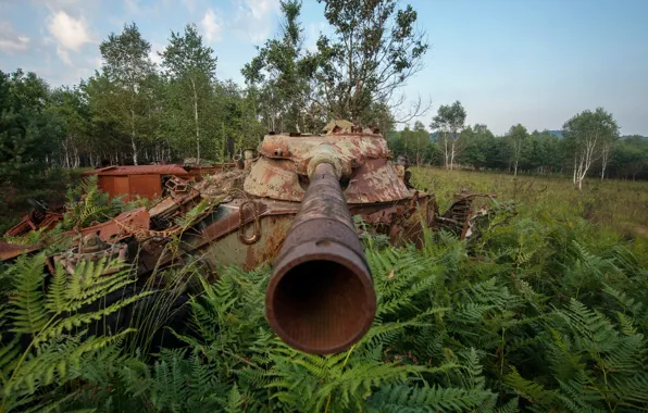Picture weapons, tank, scrap