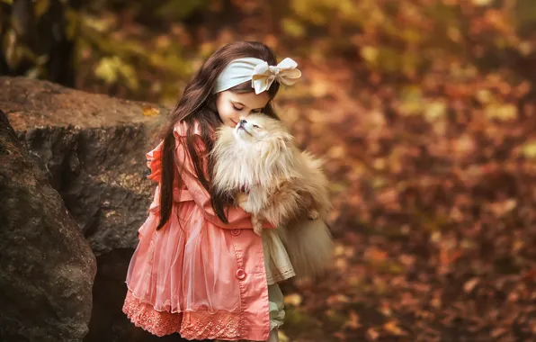 Picture autumn, mood, dog, friendship, girl, bow, friends, bokeh