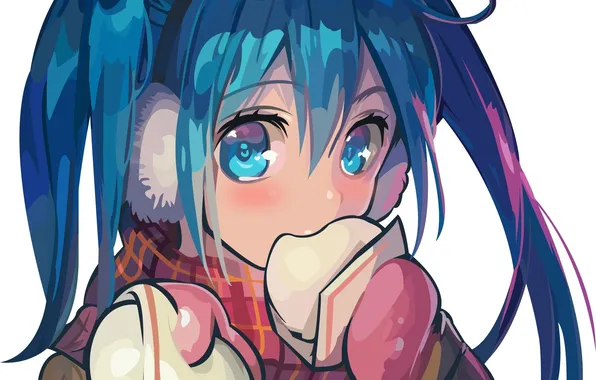 Picture look, hair, anime, art, blue, mittens, big eyes