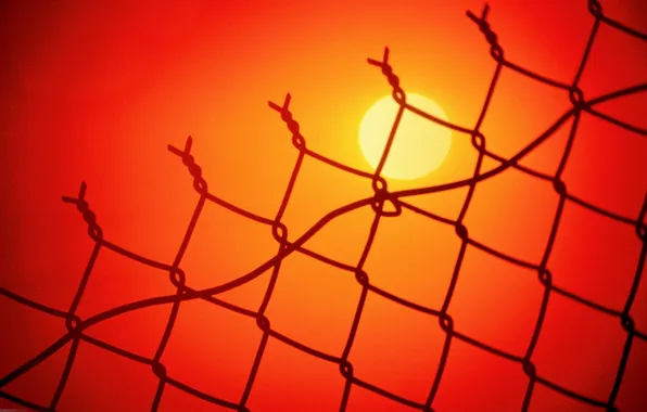 Picture the sun, sunset, wire, area