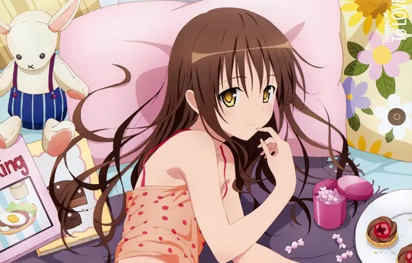 Pillow, girl, sweets, magazines, candy, sweet tooth, white rabbit, brownies