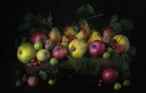 Leaves, branches, the dark background, apples, fruit, fruit, nuts, still life