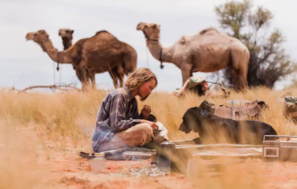 The film, desert, dog, black, girl, black, journey, desert