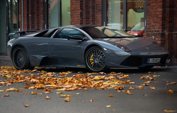 Picture grey, foliage, Lamborghini, supercar, Murcielago