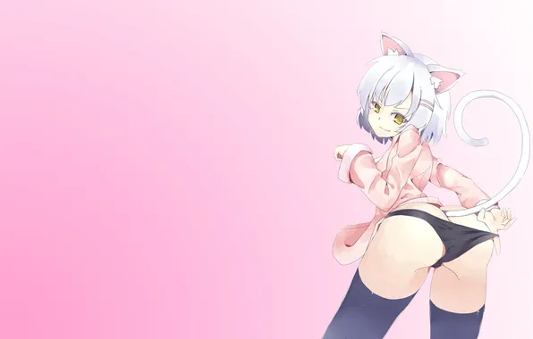 Ass, girl, panties, stockings, tail, pajamas, ears, monogatari