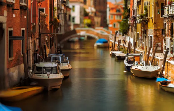 Flowers, bridge, boat, home, morning, boat, Italy, Venice