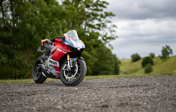 Picture Red, Ducati, White, Panigale V4S