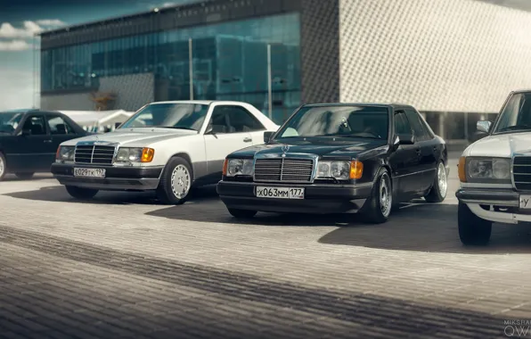 Auto, Machine, Machine, Mercedes, W123, W124, Mikhail Sharov, Transport & Vehicles
