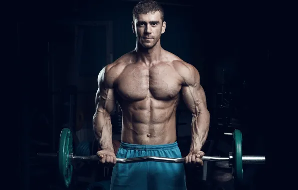 Pose, figure, muscle, muscle, rod, press, bodybuilder, abs