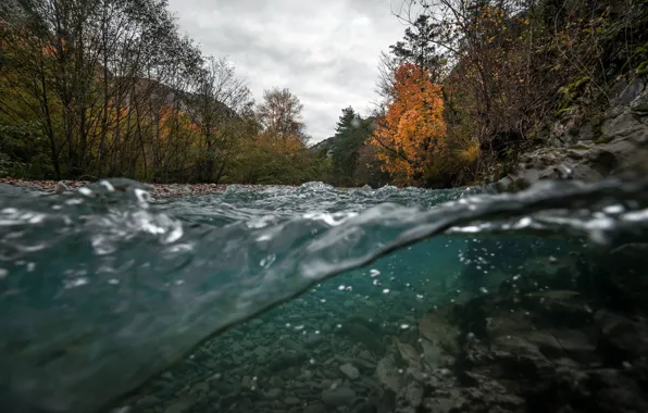Autumn, nature, river