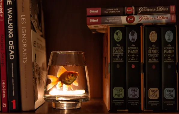 Water, fish, glass, book, wardrobe
