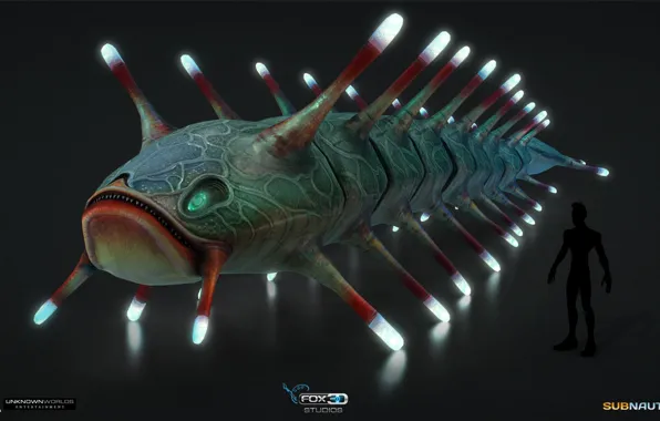 Face, people, view, being, Subnautica
