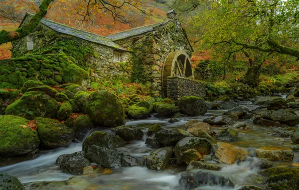 Autumn, leaves, trees, stream, stones, moss, water mill