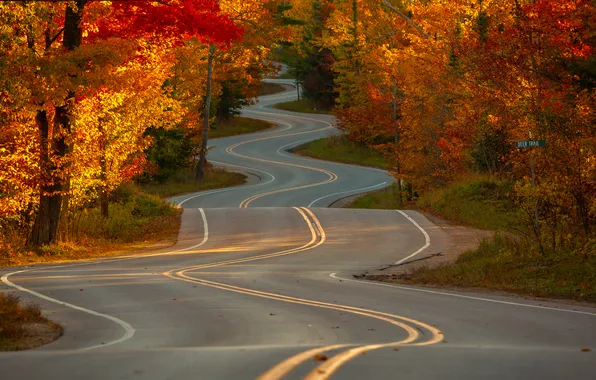 Picture road, autumn, the sun, trees, USA, Wisconsin, Jackie Novak