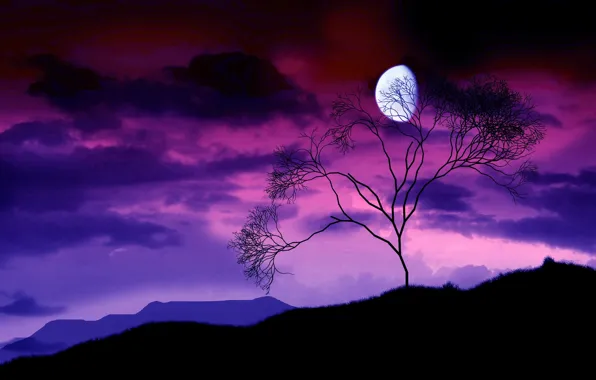 Picture night, branches, tree, the moon, 156