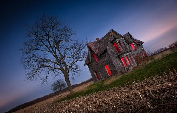 Picture field, landscape, night, home