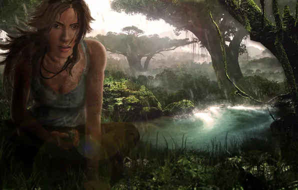 Picture forest, trees, stream, plant, tomb raider, Croft, Lara