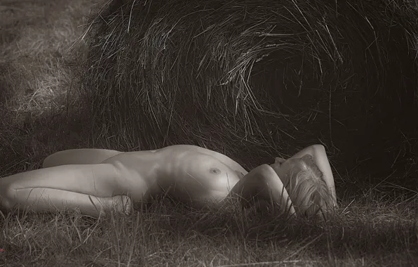Women, erotic, ass, ass, chest, girl, love, sexy