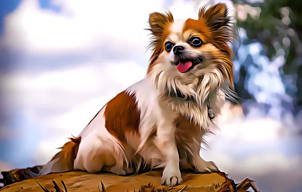 Dog, baby, dog, dog, computer graphics, pet, pet, Chihuahua