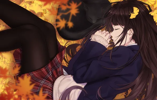 Autumn, cat, girl, foliage, sleep