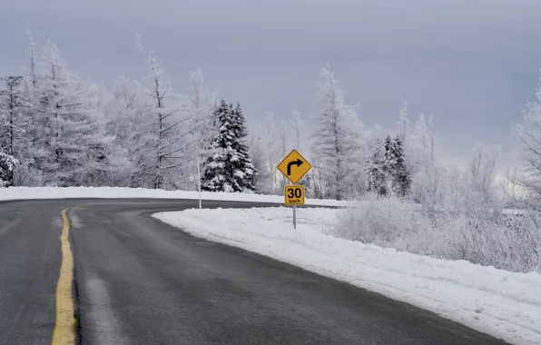 Winter, road, turn