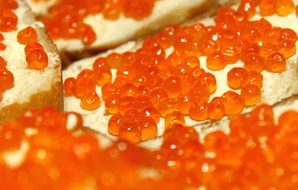 Picture macro, oil, bread, caviar