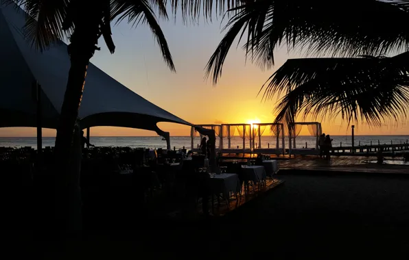 Beach, sunset, nature, landscape, dinner, Dominican Republic, Tropical beach sunset