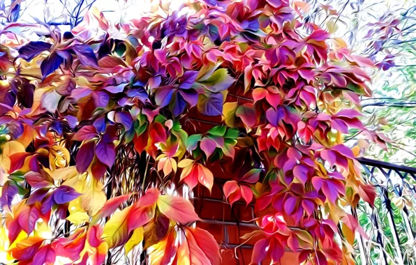 Picture rendering, fence, picture, autumn leaves, wild grapes, fall colors, brickwork