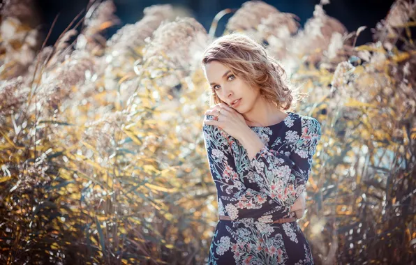 Picture summer, girl, nature, Tanja